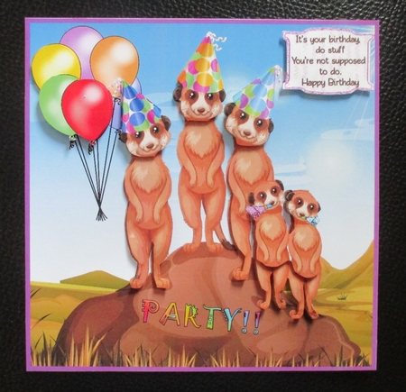 Celebrate with the Meerkats by Davina Rundle