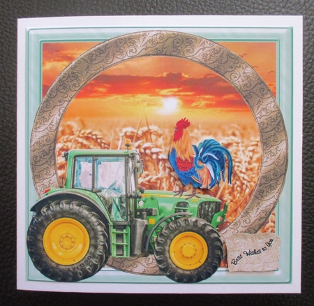 TOP OF THE MORNING TO YOU FARMING THEMED SHEET 2 with bow by Davina Rundle