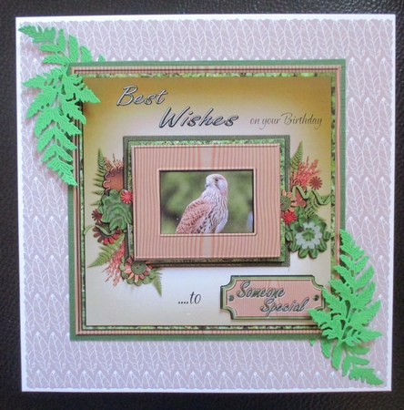Feathers Outline Background Sheet - White on Mocha by Davina Rundle