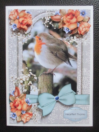 Robin in Winter by Davina Rundle