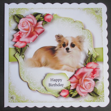Gorgeous Chihuahua & Edwardian Roses by Davina Rundle