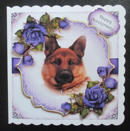 Gorgeous German Shepherd & Blue Roses by Davina Rundle