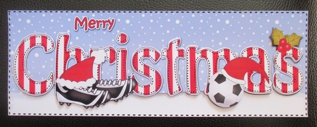 Large DL MERRY CHRISTMAS 3D decoupage  by Davina Rundle