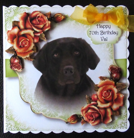 Gorgeous Chocolate Lab & Blush Roses by Davina Rundle