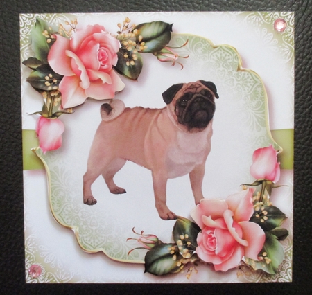 Gorgeous Pug & Pink Roses by Davina Rundle