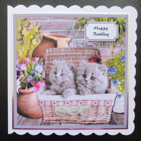Kittens in basket by Davina Rundle