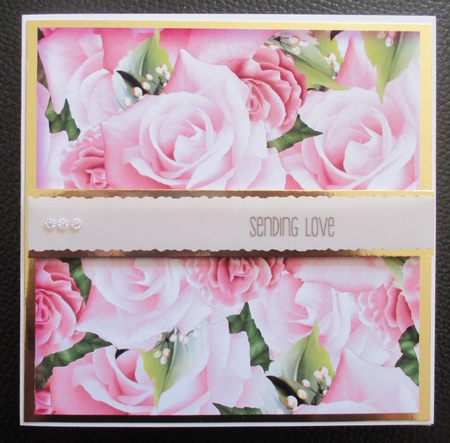 A4 Background Pink Pastel Roses by Davina Rundle
