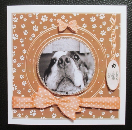 PAWSOME  CAN I COME OUT YET BIRTHDAY AND NUMEROUS OTHER SENTIMENTS by Davina Rundle