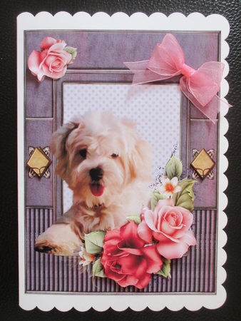 Puppy Love by Davina Rundle