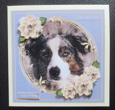 Border Collie 8x8 Birthday Card Front Topper by Davina Rundle
