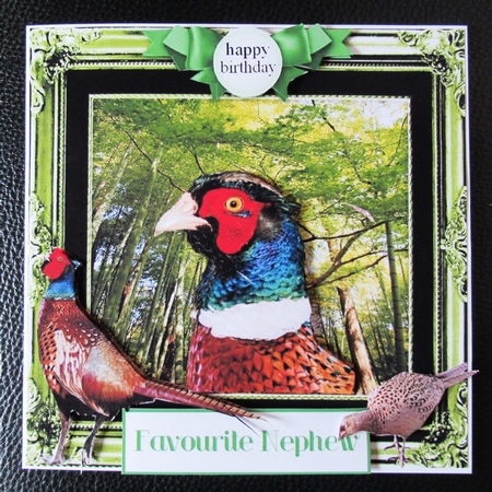 pheasant by Davina Rundle