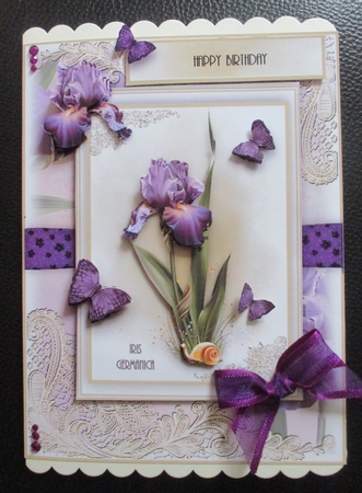 A5 The Iris Card kit (without Tassle) by Davina Rundle