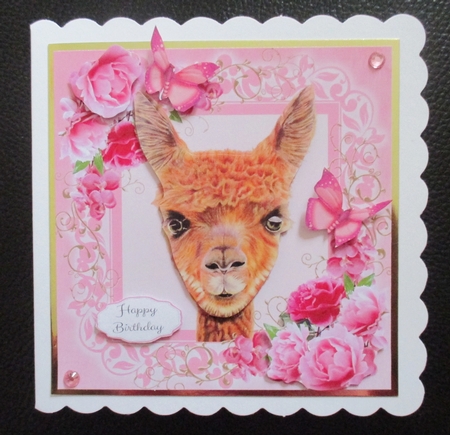 Gorgeous Alpaca In Pink Roses 8x8 by Davina Rundle