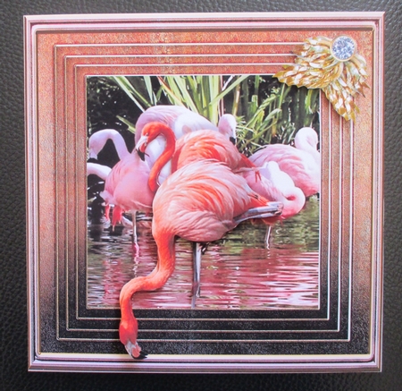 Stepping Out Again - Flamingo by Davina Rundle