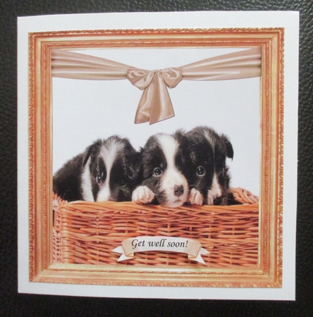 PUPPIES TO GO 1 UNIVERSAL WITH WIDE SELECTION OF SENTIMENTS by Davina Rundle