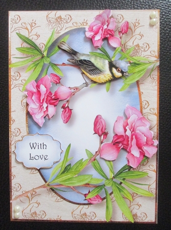 Beautiful Blue Tit & Blooms by Davina Rundle