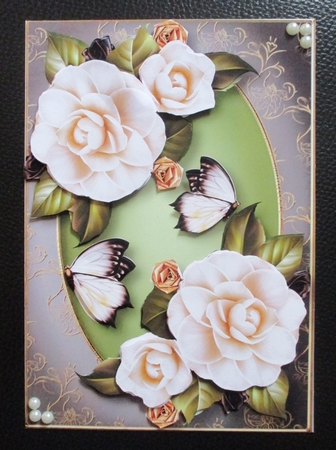 Beautiful White Camelias by Davina Rundle