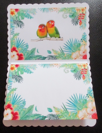 Pair of love birds on a branch in tropical flower frame insert by Davina Rundle