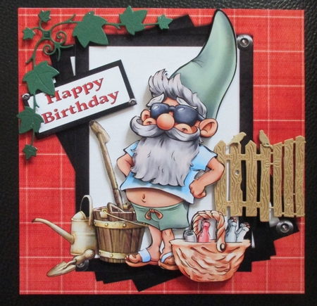 8x8 The birthday gnome mini kit by Davina Rundle