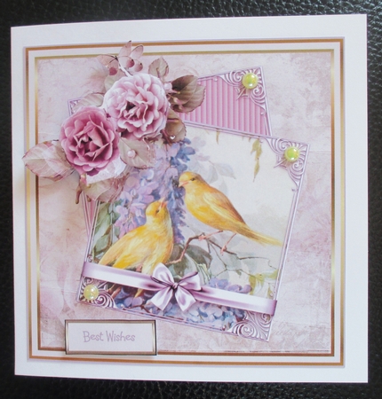 Yellow birds by Davina Rundle