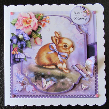 The Bunny and the Butterflies by Davina Rundle
