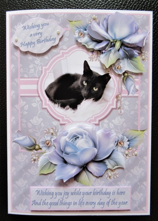 Black cat and roses by Davina Rundle