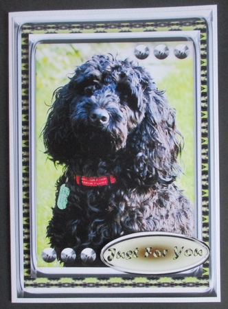 JJ LOVE MY DOG COCKAPOO 2 5X7 by Davina Rundle