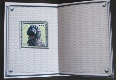 JJ LOVE MY DOG COCKAPOO 2 5X7 INSERT. by Davina Rundle
