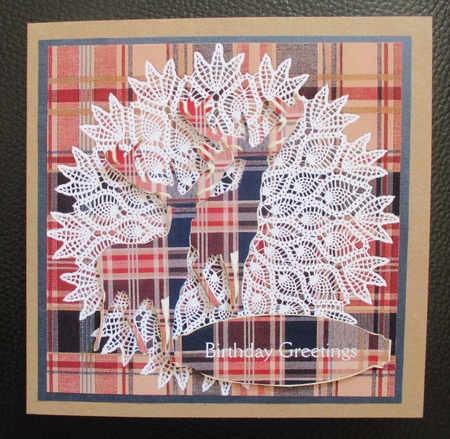 Tartan and Lace Background by Davina Rundle