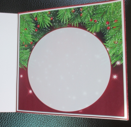 BLANK CHRISTMAS INSERT by Davina Rundle