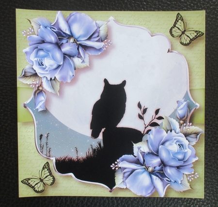 Silhouette Moon - The Owl by Davina Rundle