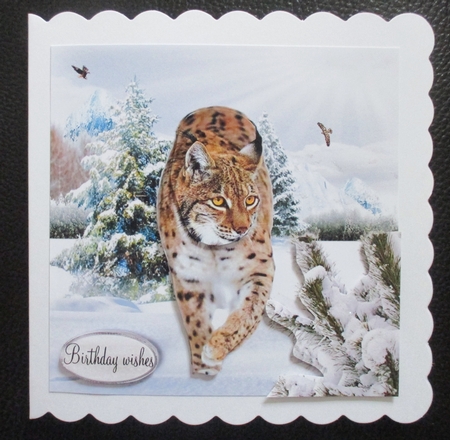 winter birthday by Davina Rundle