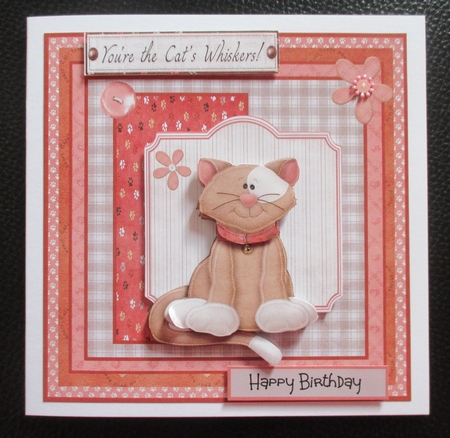 Meet Poppy the cat by Davina Rundle