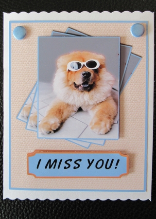 Cool Doggie card - many occasions by Davina Rundle
