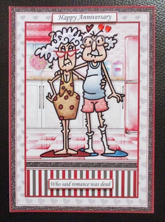 BEING WITH YOU Humorous Stella & Gus A5 Decoupage & Insert Mini Kit by Davina Rundle