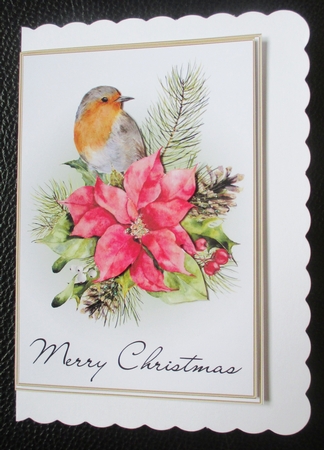 Christmas Robins 5x7 Card Bumper Pack by Davina Rundle