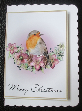 Christmas Robins 5x7 Card Bumper Pack by Davina Rundle