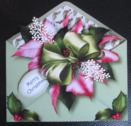 Christmas Envelope Of Flowers - Pink Poinsettias by Davina Rundle