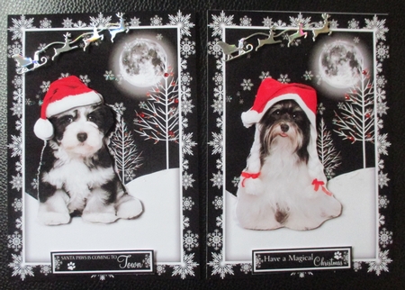 Santa Paws is Coming to Town by Davina Rundle