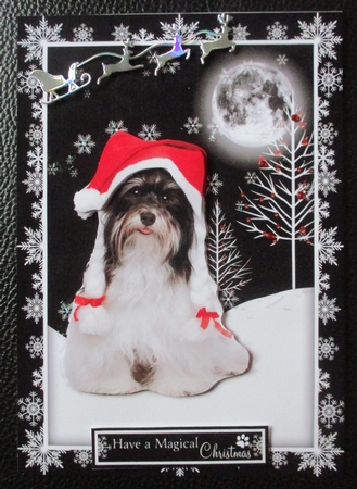 Santa Paws is Coming to Town by Davina Rundle