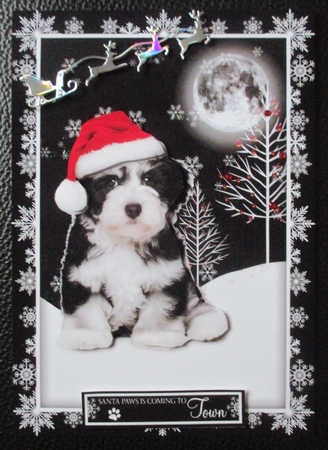 Santa Paws is Coming to Town by Davina Rundle