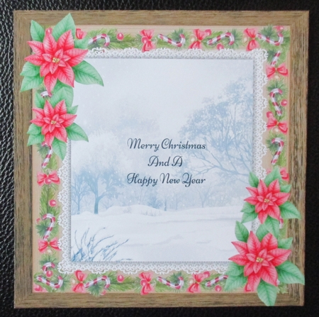 Beautiful Red Poinsettia Insert 8x8 by Davina Rundle