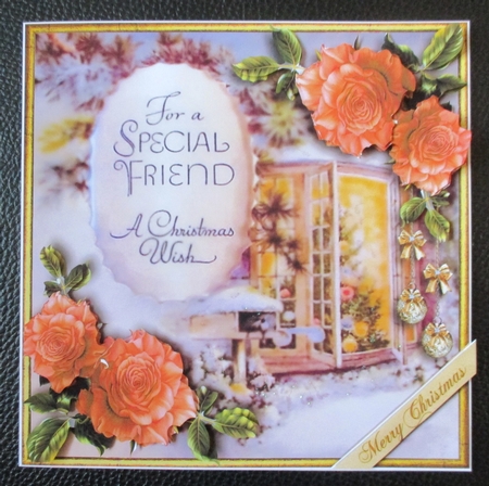 Christmas Roses in Apricot by Davina Rundle