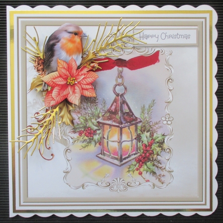 Robin in the lamplight by Davina Rundle