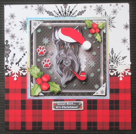 Great Scot... Its Christmas! by Davina Rundle