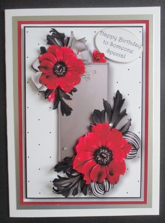 The Red Poppies by Davina Rundle