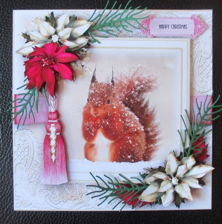 The Winter Squirell Card Kit  by Davina Rundle