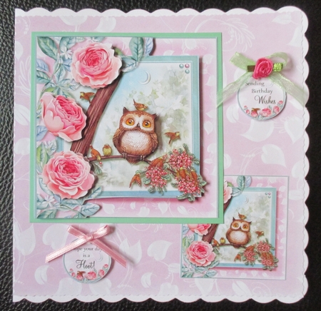 The Little Forest Owl by Davina Rundle