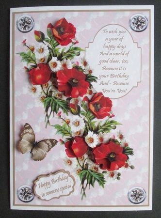 Poppy Celebration by Davina Rundle