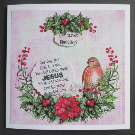 Bird and Poinsettia Bible Verse Christmas Card Kit Red and Green by Davina Rundle